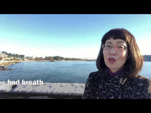 英语谚语 english idioms 英语俚语 slang 英语电影 take my breath away